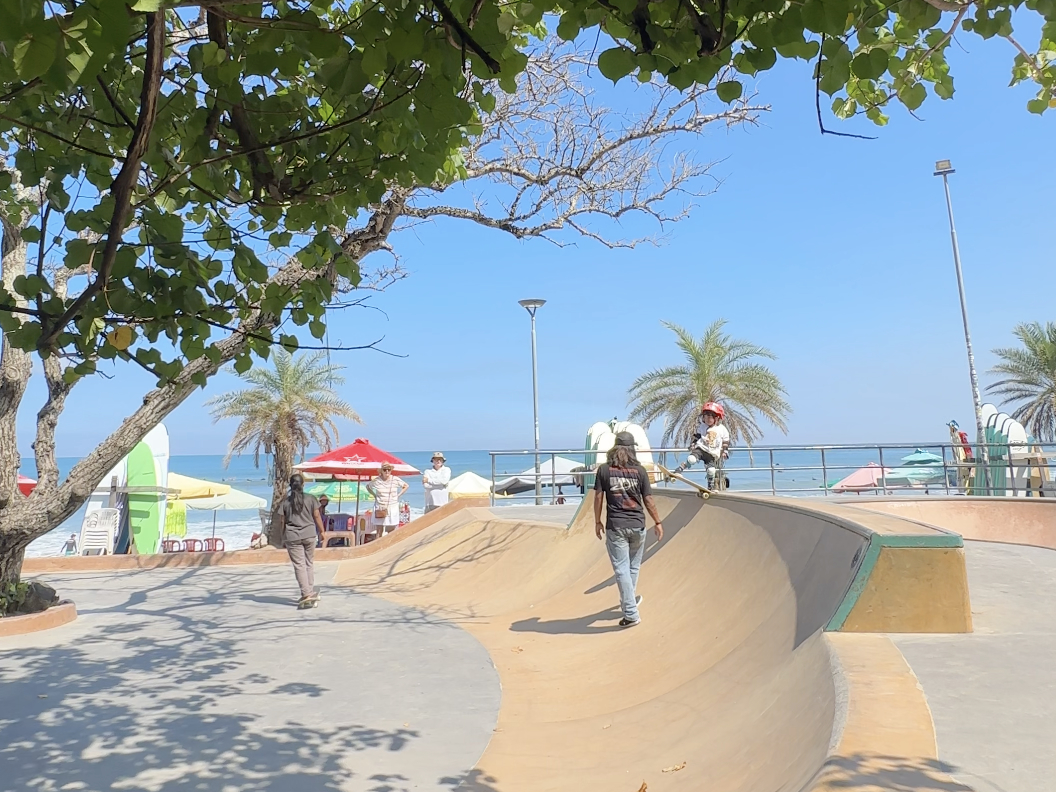 Surfskate gear